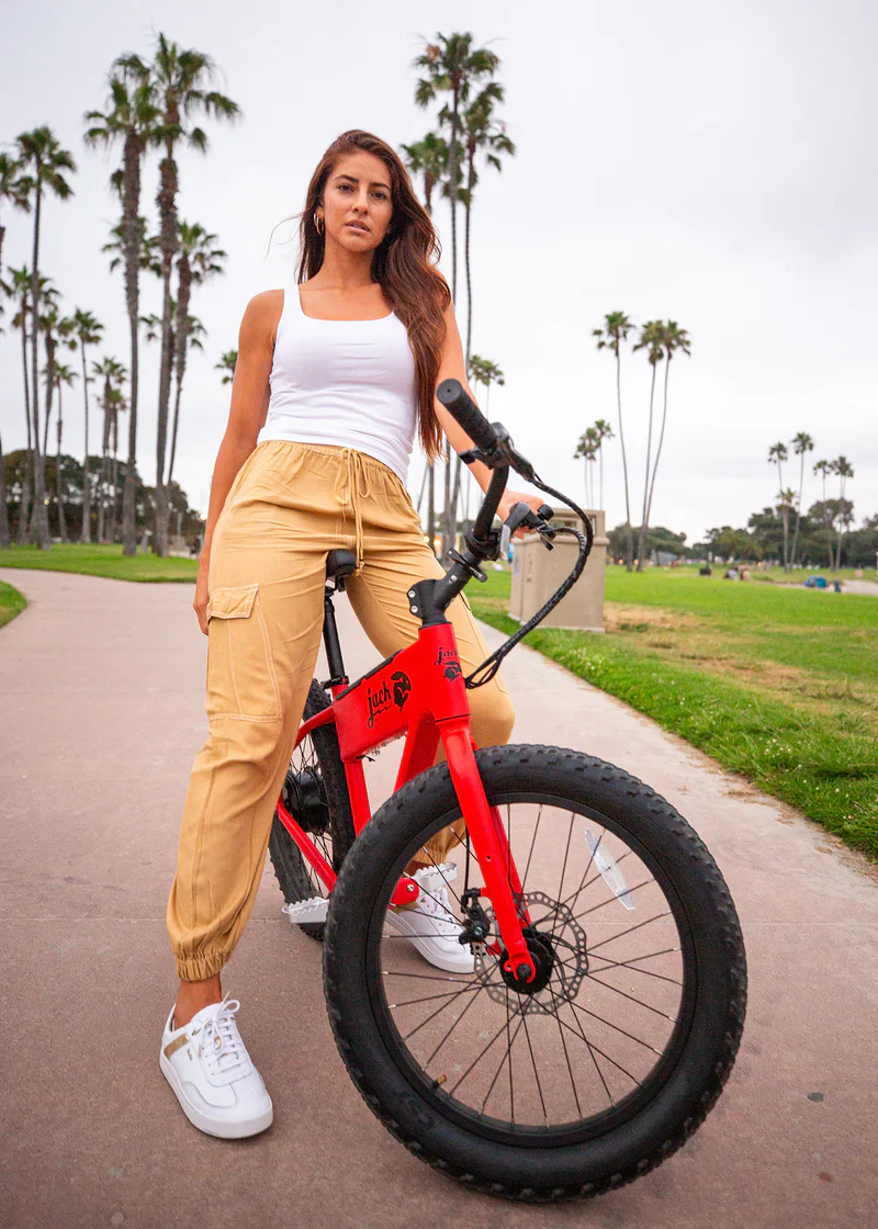 JackRabbit Xg - Micro Ebike - Image 9